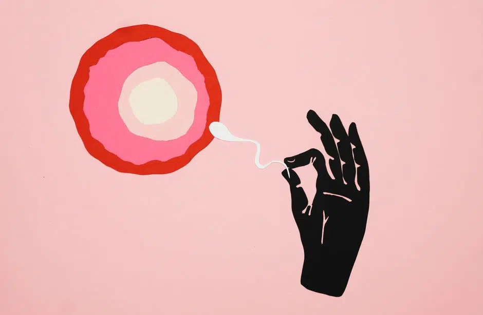 La peligrosa búsqueda viral de la fertilidad masculina: ¿Ciencia o engaño detrás del sperm-maxxing?
