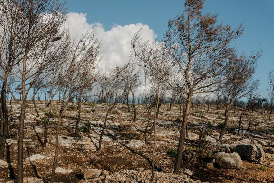El Mediterráneo ya hierve en primavera: la DANA que nos enseñará una lelección aterradora sobre nuestro futuro.