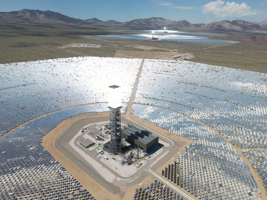 La mega planta solar que incineraba aves en pleno vuelo iba a cerrar, pero una decisión cambia el guion.